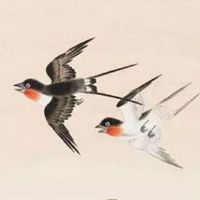 能当老板娘的女人手相 中指细长事业取得高成就