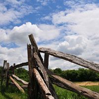 取名取名-女装商标起名