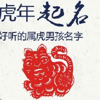 好听的属虎男孩名字