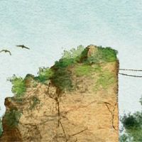 女性穿玉甘蓝禁忌枫水表示法律需要掌握