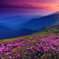 2019年猪年出生的名称是什么,名称,Mediel男孩的名字是着名的