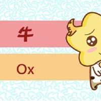 近七天生肖牛周运势2022(3.14-3.20)