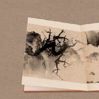 使用Pomelo Word简单的氛围开始公司名称