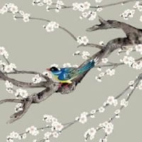 眉毛断开的人命运怎样 事业上有所成绩