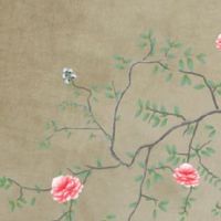 为啥耳朵小短命 耳朵小的人应注意些什么