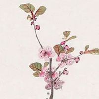 医药公司名好记又大气 寓指繁荣旺财的起名推荐