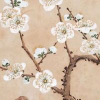 2022年大健康类公司起名 非同一般的公司取名