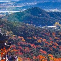 在Bing中出生的人如何?