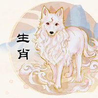 狗3月2日是什么命运男孩的特色