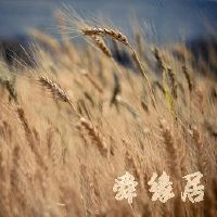 农业高端公司名称大全