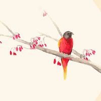 2022年农历八月宜装修动土大吉日 动土作业好时机