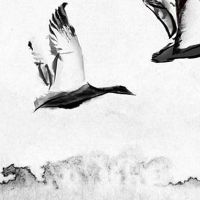 3种富可敌国的痣相 下巴有痣得贵人相助财运好