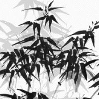 什么手相有横财纹偏财纹 容易暴富的手相手相