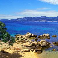 在纳克因·瓦尔鱼的水生活中购买了哪种颜色