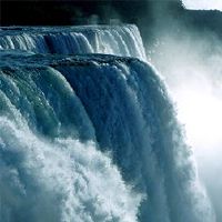 水在几个月内生活吗?什么是最好的配偶?