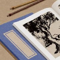 我应该关注技术公司的名义,以这个技术公司命名吗?