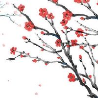 培训公司名为ColleGemise招生培训行业的名称