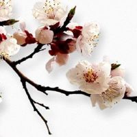 老公非常优秀的女人面相 老公优秀的女人颧骨丰满