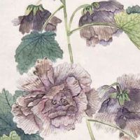 注册医药公司起名大全 推荐高端个性企业取名