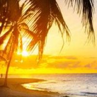 B B出生的人的八个字符命运如何?