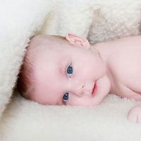 适合女孩带木字的名字