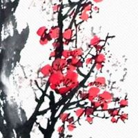 穷相的女人面相特征 眼睛凸出的女人脾气差