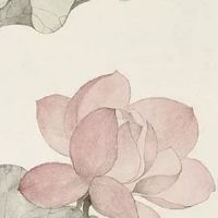 男人口小有富贵相吗 男人什么嘴型财运最好