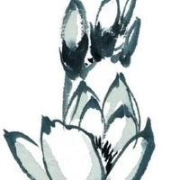 男人大富大贵的面相 天庭饱满的男人安享财富