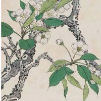 适合医疗器械的公司名字 精选企业的取名推荐