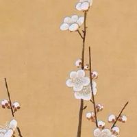 医疗器械商标2022热门新潮 寓意吉祥招财的公司好名