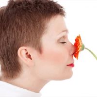 女性脸部的良好有什么区别?长度在哪里?