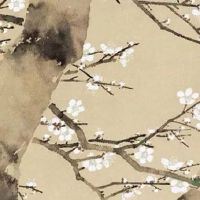 健康管理公司取名字大全 寓意繁荣昌盛的好名推荐