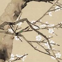 诊所起名字大全免费 最新高级医药所起名大全