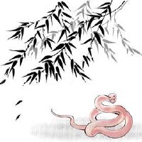 1965年属蛇女一生财运 中晚年运势稳定