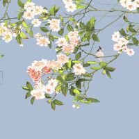 2022年6月21日开张开业吉利吗 农历五月二十二今日黄历宜忌