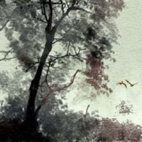 婴儿财富于2022年3月3日?