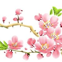 2022年6月23日是开业求财日子吗 农历五月二十四是黄道吉日吗