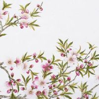 2022年6月26日开业好不好 农历五月二十七开张吉利吗