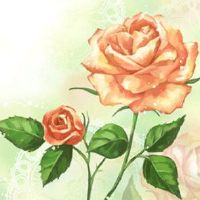 2022年6月6日动土好不好 农历五月初七是黄道吉日吗