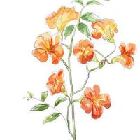 2022年6月11日出行吉利吗 农历五月十二今日宜忌分析