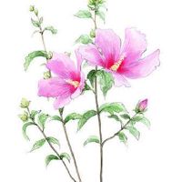 2022年6月12日出行好吗 农历五月十三这天日子如何