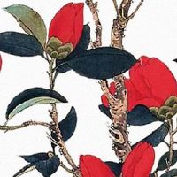 手相有财库代表什么意思 日子越过越富