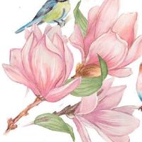 2022年6月13日适合出行吗 农历五月十四是不是黄道吉日