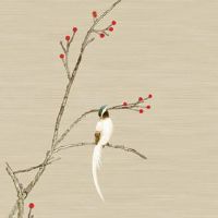 车牌号I怎么读 车牌数字和字母的混合用法