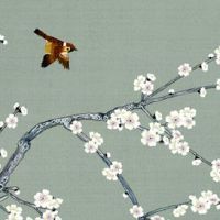 车牌中3是个非常吉利的数字 吉星帮助的车牌号