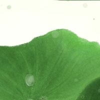 劳动是最光荣的经典剧本劳动节分享