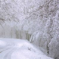 梦中雪是什么意思?