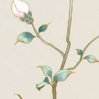 男生手相财运线图解 财运线波浪形态财运起伏