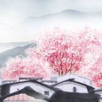 数字能量学手机号码拆分口诀大全 招财旺风水数组解析