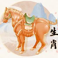 黄道带是马的最不幸的年龄是最困难的年龄